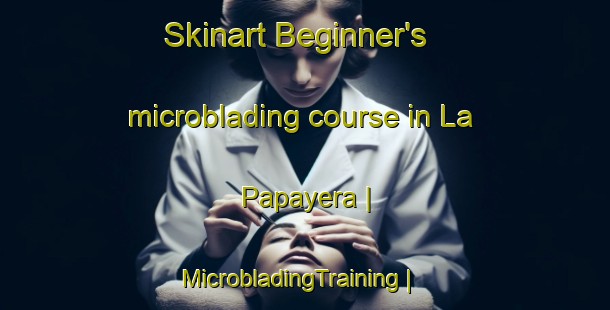 Skinart Beginner's microblading course in La Papayera | MicrobladingTraining | MicrobladingClasses | SkinartTraining-Mexico
